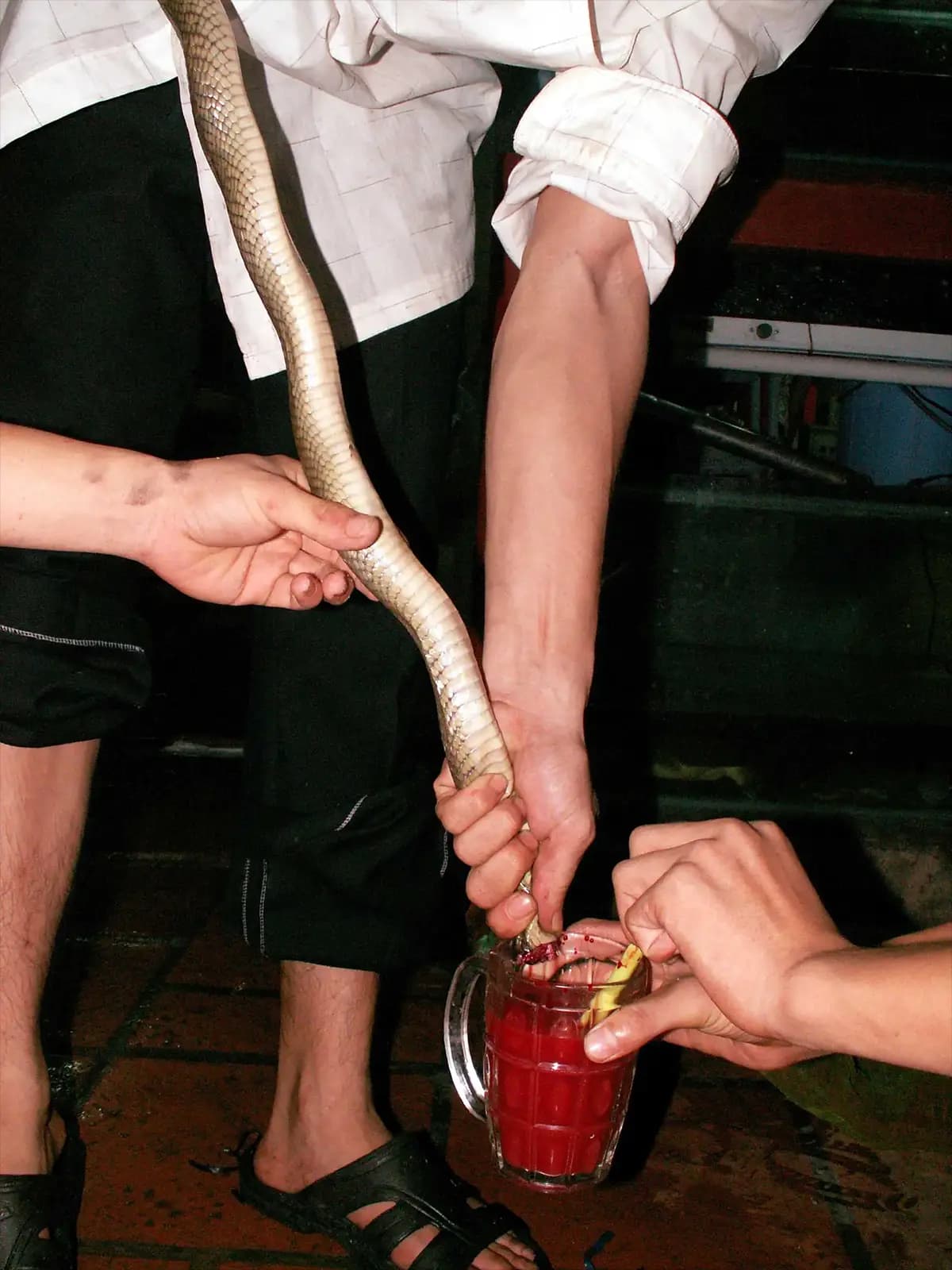 Sang de cobra royal dans de l'alcool de riz à Saïgon au Vietnam