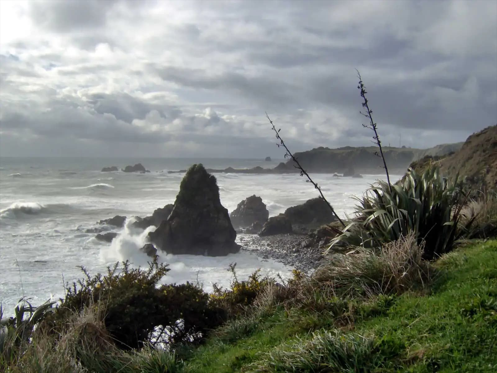 Foulwind Bay – Nouvelle-Zélande