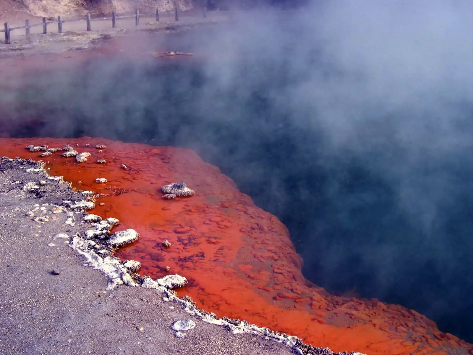 Les piscines bouillantes de Te Puia - Nouvelle-Zélande