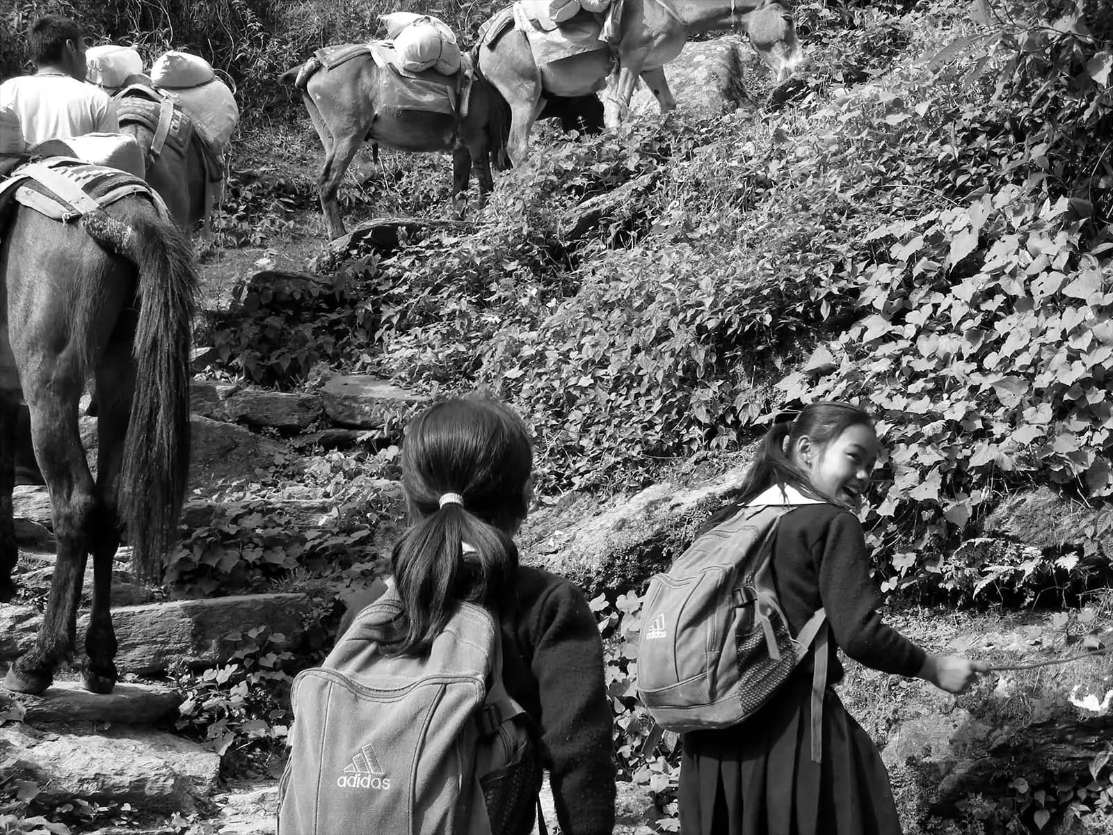 Fillettes jouant avec les mules sur le chemin de l’école - Népal