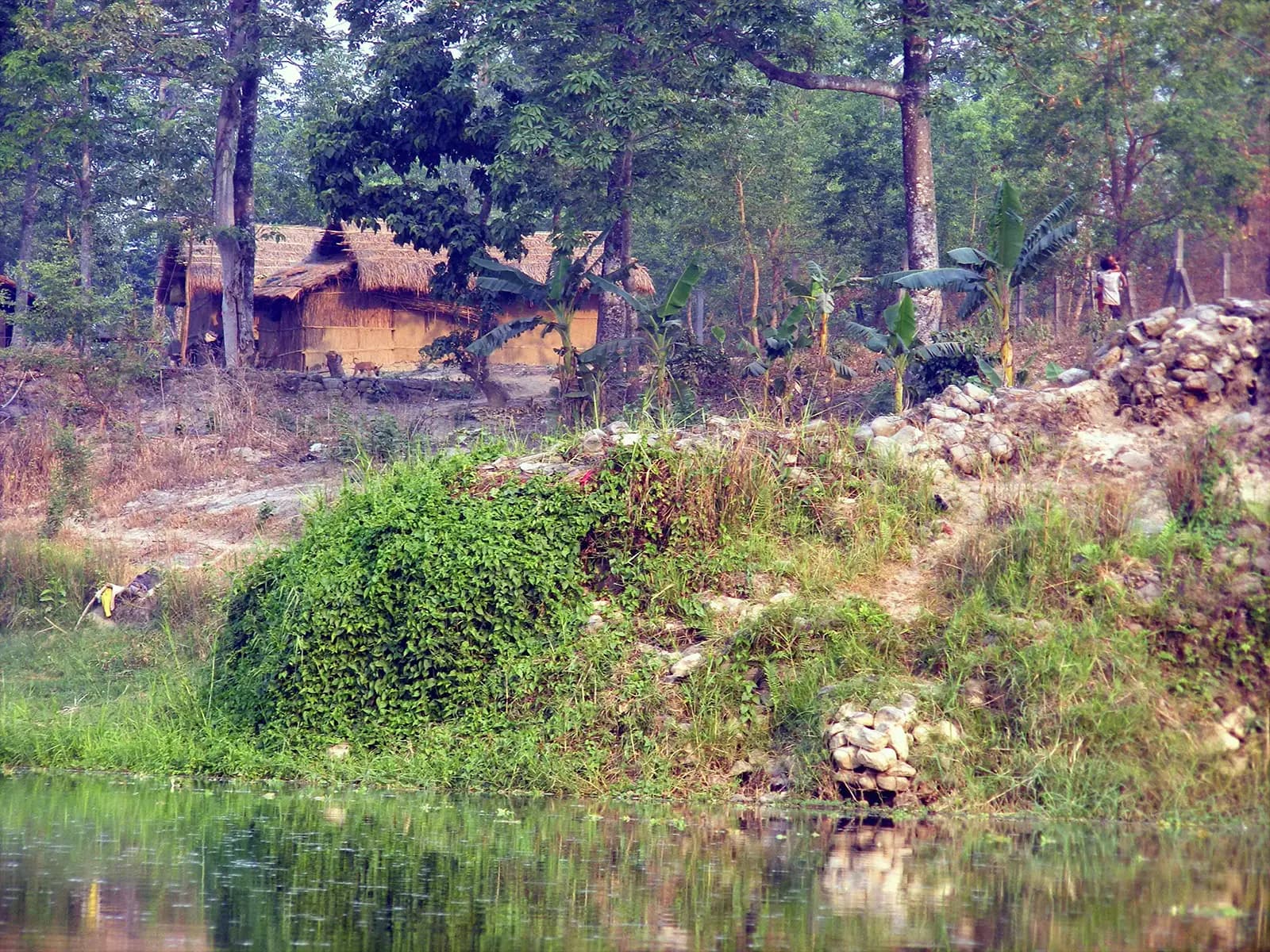 Village traditionnel dans le parc de Chitwan - Népal