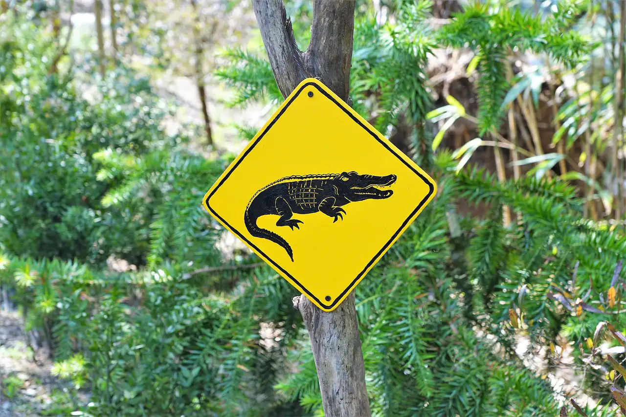 Panneau de danger jaune signalant des crocodiles, fixé à un arbre au milieu de la végétation tropicale