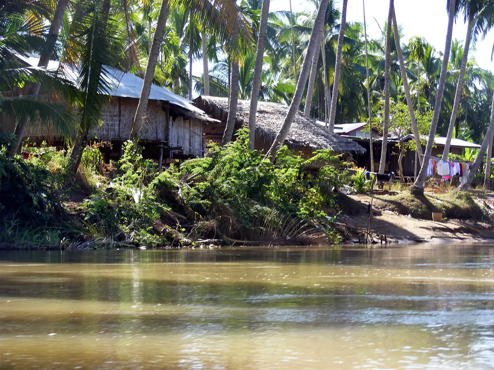 Maisons de bambou et toits de chaume sous les cocotiers, sur la rive du Mékong à Don Det, dans le sud du Laos