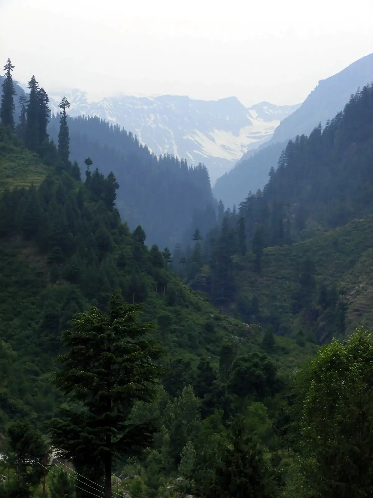 En arrivant sur Manali après le col de Rohtang La
