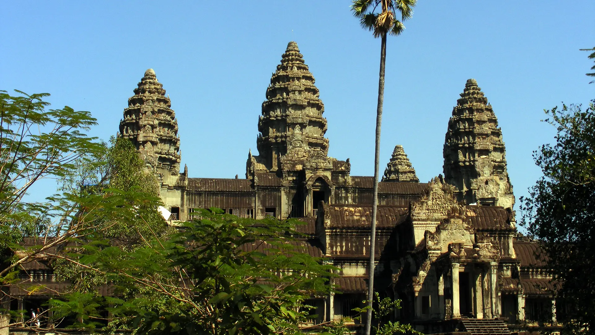 Les tours en bouton de lotus d’Angkor Wat sous un ciel bleu, derrière les arbres et un grand palmier