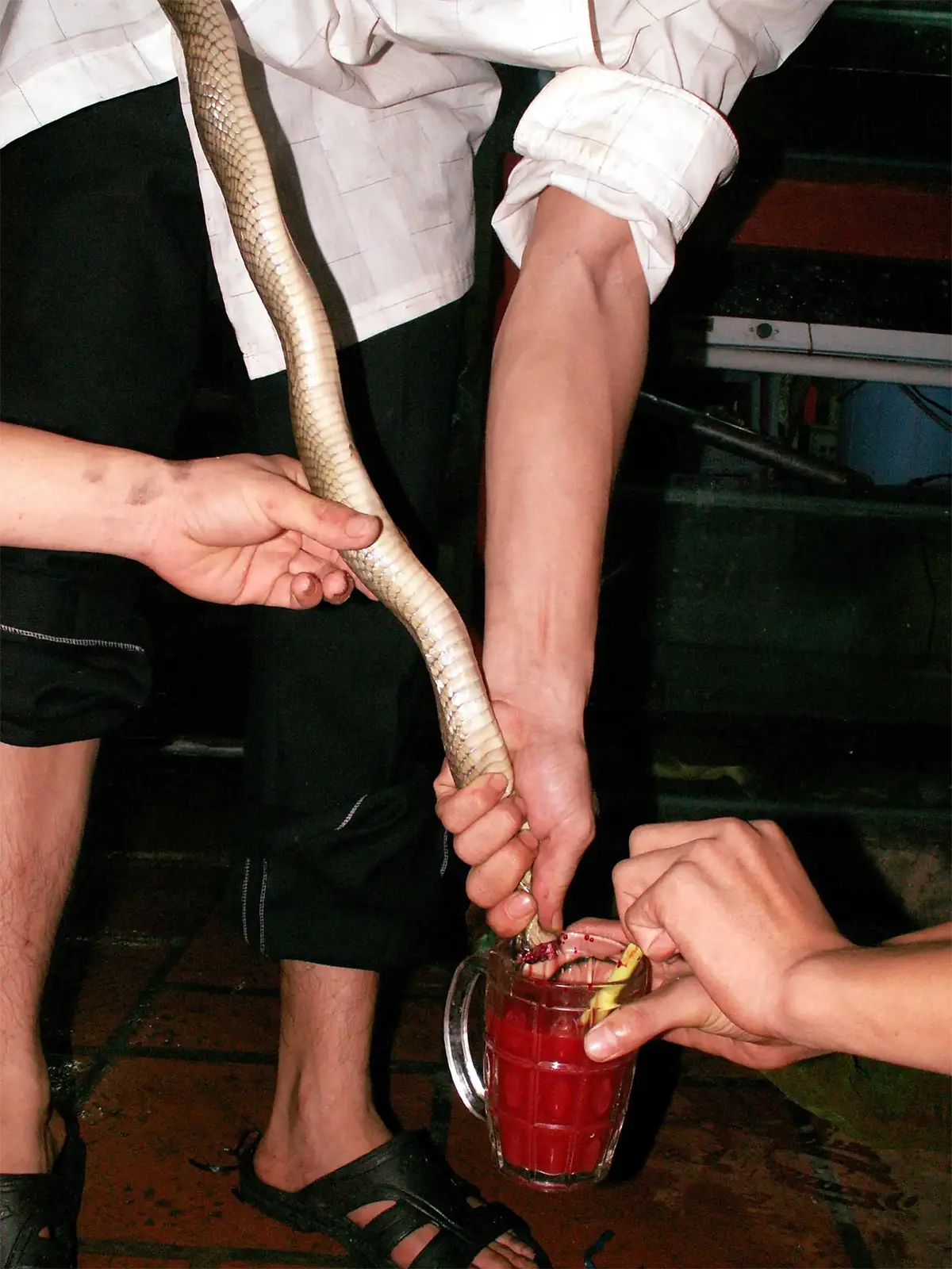 Sang de cobra royal dans de l'alcool de riz à Saïgon au Vietnam