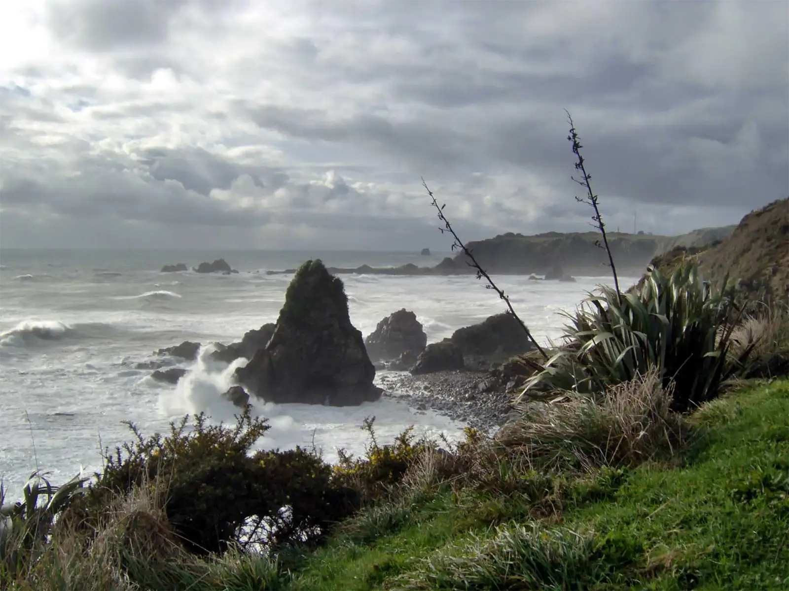 Foulwind Bay – Nouvelle-Zélande