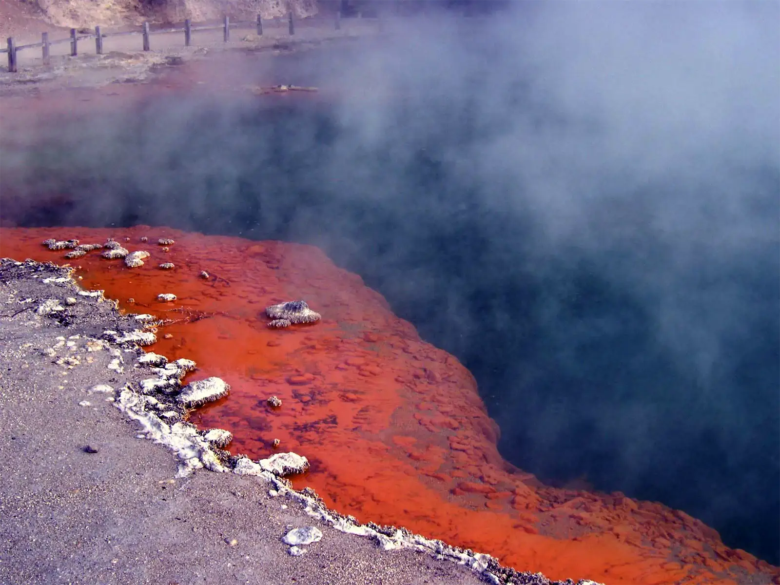 Les piscines bouillantes de Te Puia – Nouvelle-Zélande