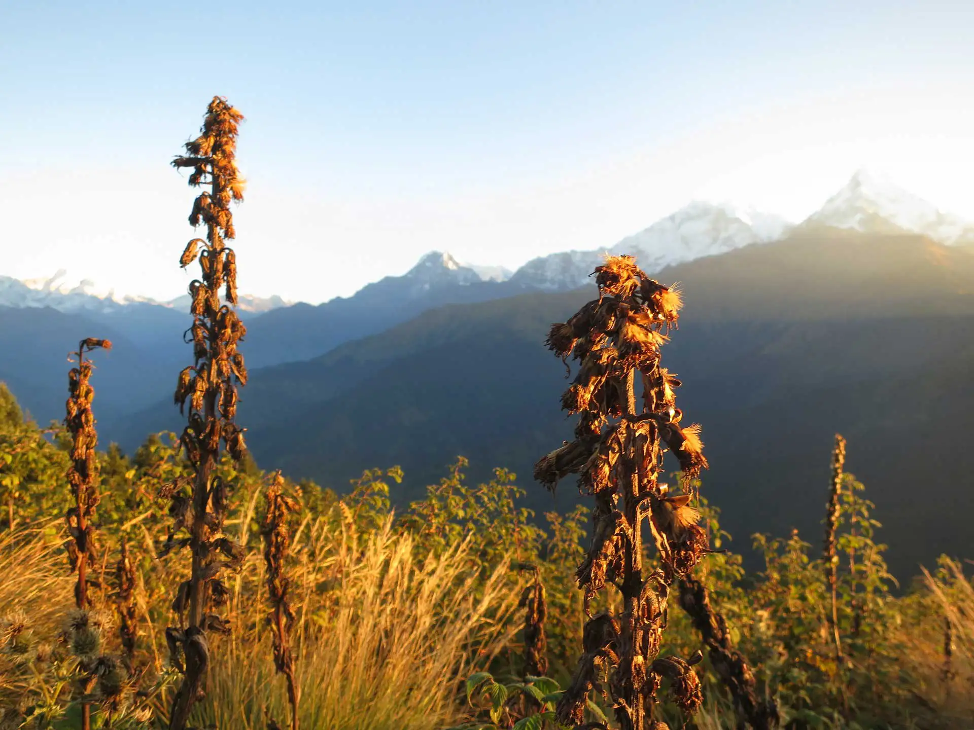 Vue du Poon hill dans le trek des Annapurnas – Pokhara