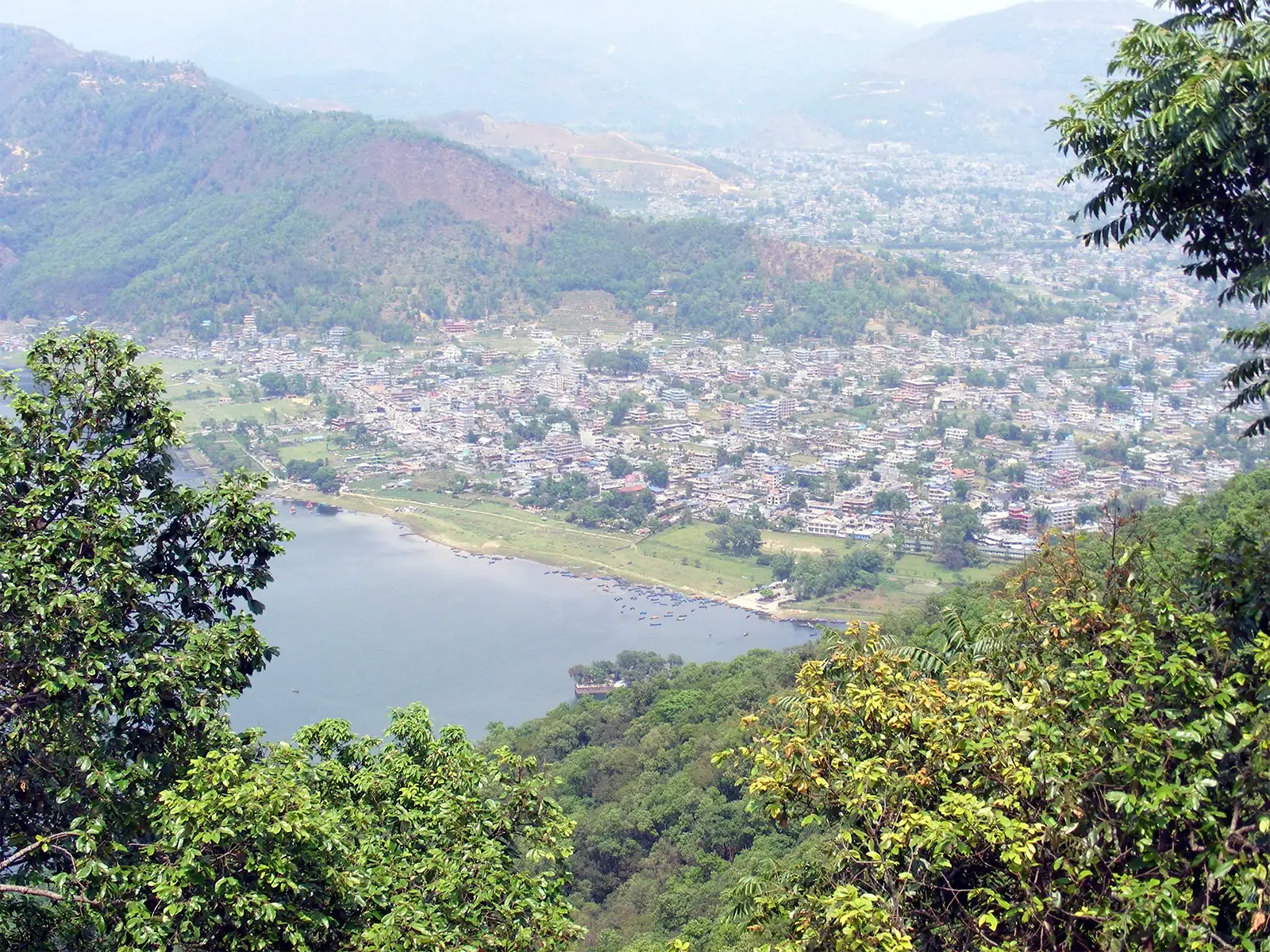 La ville de Pokhara et le lac Phewa vus d’en haut, à travers la végétation des collines